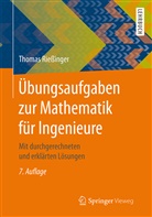 Thomas Riessinger - Übungsaufgaben zur Mathematik für Ingenieure