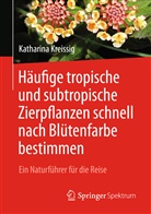 Katharina Kreissig - Häufige tropische und subtropische Zierpflanzen schnell nach Blütenfarbe bestimmen