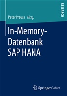 Pete Preuss, Peter Preuss - In-Memory-Datenbank SAP HANA