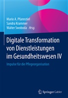 Sandr Krammer, Sandra Krammer, Mario A. Pfannstiel, Walter Swoboda - Digitale Transformation von Dienstleistungen im Gesundheitswesen IV. Tl.4