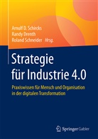 Rand Drenth, Randy Drenth, Arnulf D. Schircks, Roland Schneider - Strategie für Industrie 4.0