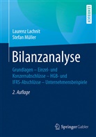 Lauren Lachnit, Laurenz Lachnit, Stefan Müller - Bilanzanalyse