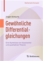 Jürgen Scheurle - Gewöhnliche Differentialgleichungen; .