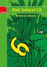 Mathematik 6