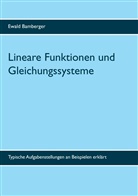 Ewald Bamberger - Lineare Funktionen und Gleichungssysteme