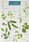Clare Cremona - Guide to Foraging: Top 25 Edible Plants