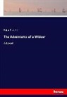 Edgar Fawcett - The Adventures of a Widow