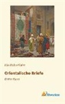 Ida Hahn-Hahn, Ida Gräfin von Hahn-Hahn - Orientalische Briefe