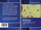 Wendelin Fleischli - Die Spur zum Urevangelium