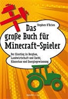 Stephen O'Brien - Das große Buch für Minecraft-Spieler