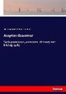 Friedrich Delitzsch, Archibald R S Kennedy, Archibald R. S. Kennedy - Assyrian Grammar