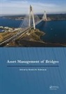 Khaled Mahmoud, Khaled M Mahmoud, Khaled M. Mahmoud, Khaled Mahmoud, Khaled M Mahmoud, Khaled M. Mahmoud - Asset Management of Bridges