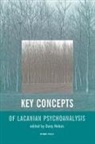 Dany Nobus - Key Concepts of Lacanian Psychoanalysis