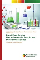 Pedro A Arroyo, Maria A S D Barros, Helida Monique Cordasso Fagnani - Identificação dos Mecanismos de Sorção em Diferentes Sólidos