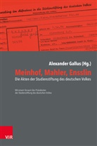 Alexande Gallus, Alexander Gallus - Meinhof, Mahler, Ensslin