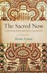 Mark Elber - The Sacred Now