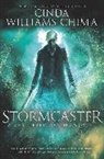 Cinda Williams Chima - Stormcaster