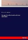 Nathaniel Hawthorne - Passages from the French and Italian note-books