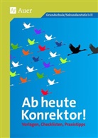 Auer Verlag - Ab heute Konrektor, m. CD-ROM