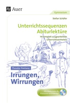Theodor Fontane, Stefan Schäfer - Theodor Fontane Irrungen, Wirrungen, m. 1 CD-ROM