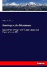 Philip H Gosse, Philip H. Gosse - Evenings at the Microscope