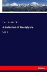 Francis Llewellyn Griffith - A Collection of Hieroglyphs