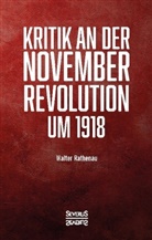 Walter Rathenau, Walther Rathenau - Kritik an der Novemberrevolution um 1918
