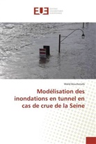 Walid Bouchenafa - Modélisation des inondations en tunnel en cas de crue de la Seine