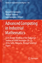 Ivan Georgiev, Krassimir Georgiev, Michai Todorov, Michail Todorov - Advanced Computing in Industrial Mathematics