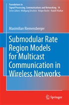 Maximilian Riemensberger - Submodular Rate Region Models for Multicast Communication in Wireless Networks