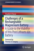 Claudiu B Bucur, Claudiu B. Bucur - Challenges of a Rechargeable Magnesium Battery