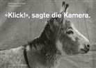 Baltashar Burkhard, Markus Jakob, Baltashar Burkhard, Baltashar Burkhard, Balthasar Burkhard - "Klick!", sagte die Kamera.
