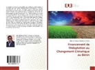 Edzromi Mawusé Hountondji Kodjo - Financement de l'Adaptation au Changement Climatique au Bénin