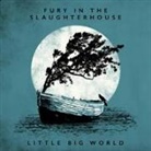 Fury in the Slaughterhouse - Little Big World - Live & Acoustic, 2 Audio-CDs (Audio book)