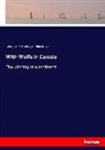 Gordon Browne, George A. Henty, George Alfre Henty, George Alfred Henty - With Wolfe in Canada