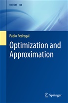 Pablo Pedregal - Optimization and Approximation