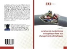 T Flinso Assan, T. Flinso Assan - Analyse de la résilience énergétique face aux changements climatiques