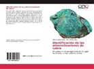 Karo Cardeño Villegas, Karol Cardeño Villegas, Elias Ernesto Rojas - Identificación de las mineralizaciones de cobre