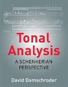 David Damschroder, Damschroder David - Tonal Analysis: A Schenkerian Perspective