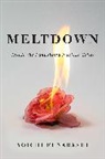 Funabashi, Yoichi Funabashi, Yoichi Funabashi - Meltdown