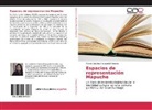 Marcia Catalina Cheuquelaf Morales - Espacios de representación Mapuche