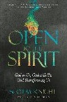 Dave Ferguson, Scot Mcknight, Scot/ Ferguson McKnight - Open to the Spirit
