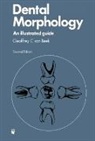 G. C. van Beek, Geoffrey C. van Beek, G. C. Van Beek, G. C. Van Beek, G. C. (Professor of Oral Biology Van Beek, Vanbeek - Dental Morphology