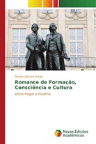 Patrício Câmara Araújo - Romance de Formação, Consciência e Cultura