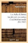 Belloc-h - Les asiles d alienes transformes