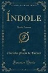 Clorinda Matto De Turner - Índole