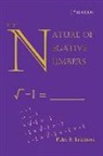 Peter F. Erickson - The Nature of Negative Numbers