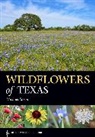 Michael Eason - Wildflowers of Texas