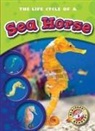 Colleen Sexton - The Life Cycle of a Sea Horse