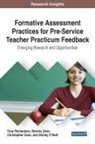 Beverly Dann, Christopher Dann, Tony Richardson - Formative Assessment Practices for Pre-Service Teacher Practicum Feedback